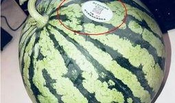 八卦网红吃瓜是谁